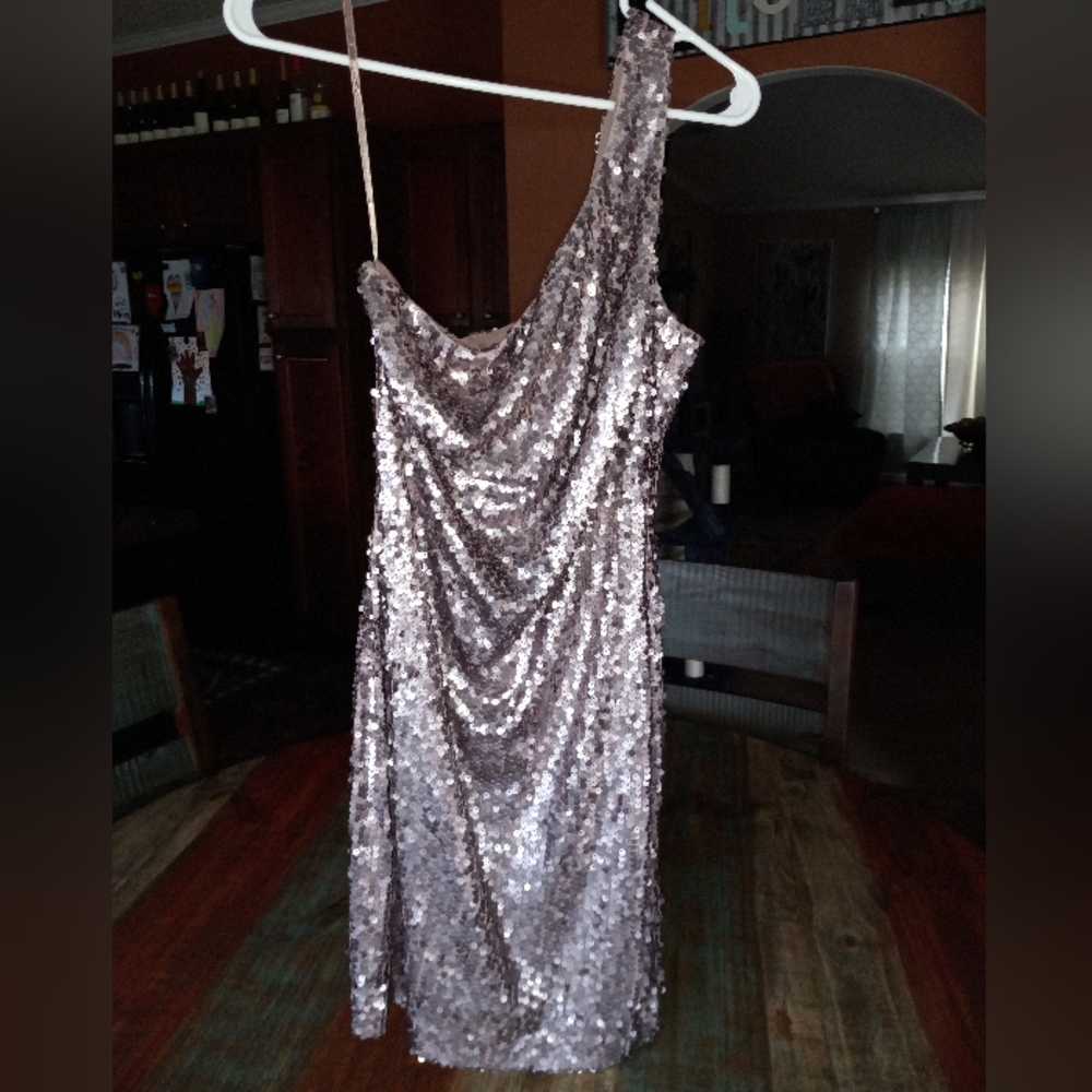 Sequin Dress